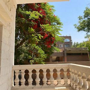 Junior Suite Garden View